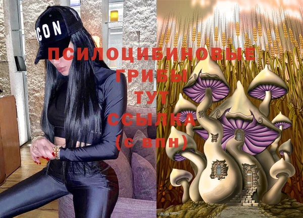 MESCALINE Осинники