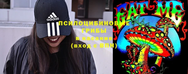 прущий лед Осташков