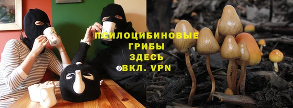 эйфоретик Нязепетровск