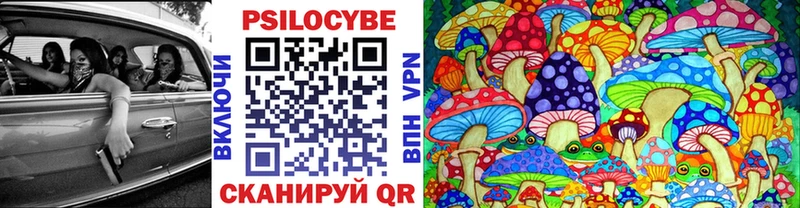 Псилоцибиновые грибы мицелий  дарнет шоп  OMG рабочий сайт  Новоузенск 